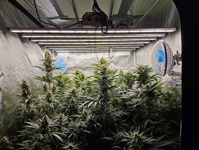 Growreport Bild 24