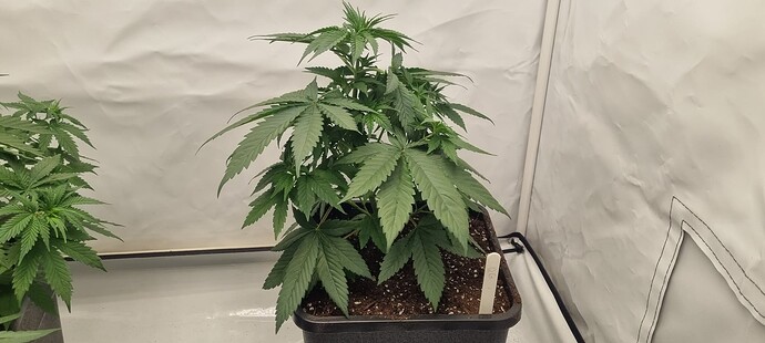Growreport Bild 10