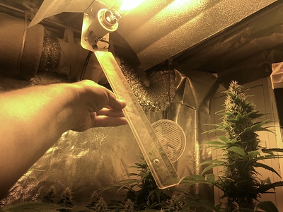 Growreport Bild 4