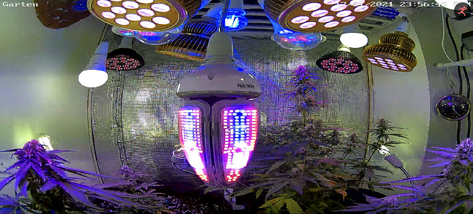Growreport Bild 2