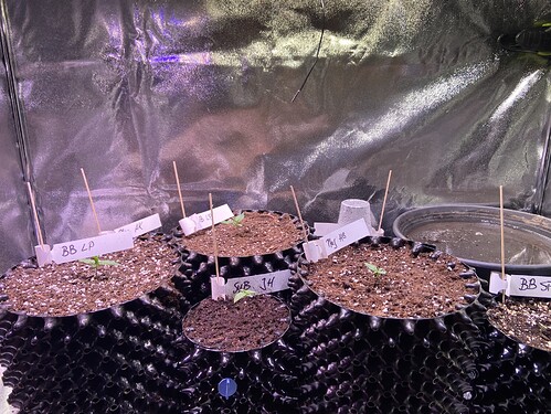 Growreport Bild 11