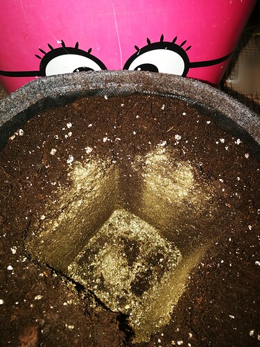 Growreport Bild 9