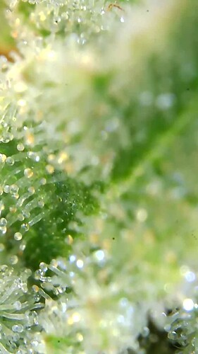 Growreport Bild 17