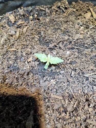 Growreport Bild 9