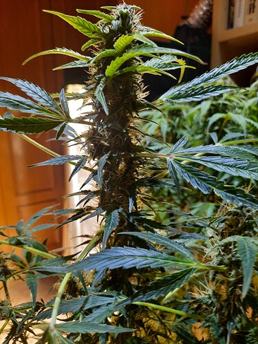 Growreport Bild 10