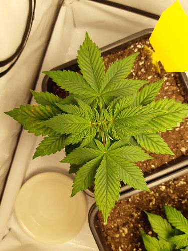 Growreport Bild 20