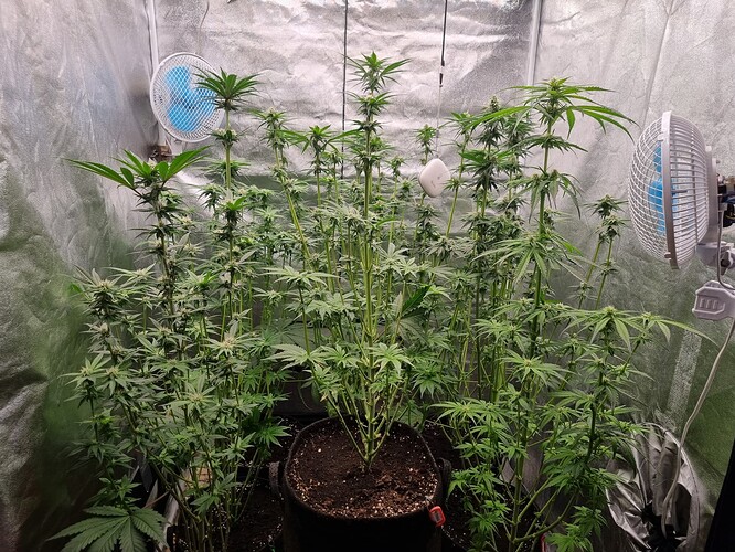 Growreport Bild 12