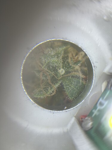 Growreport Bild 5