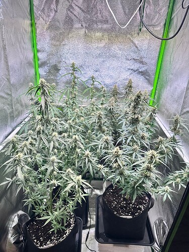 Growreport Bild 1