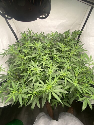 Growreport Bild 3