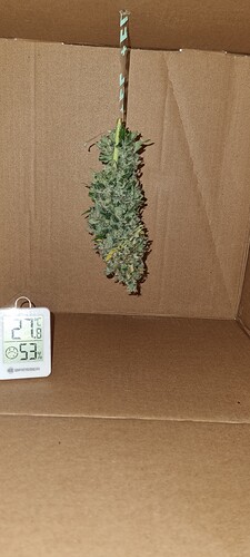 Growreport Bild 9