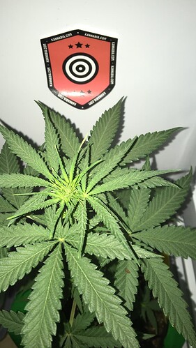 Growreport Bild 10