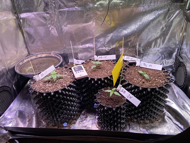 Growreport Bild 20