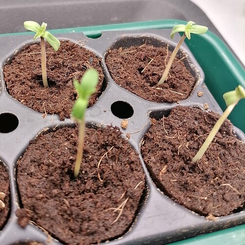 Growreport Bild 18