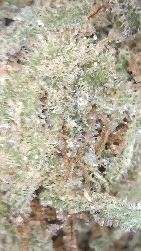 Growreport Bild 18