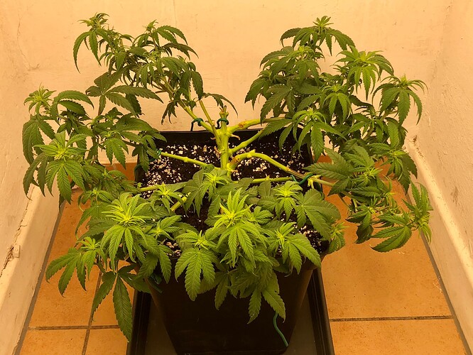 Growreport Bild 7