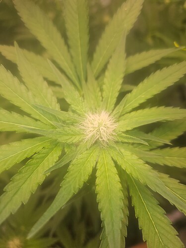 Growreport Bild 12