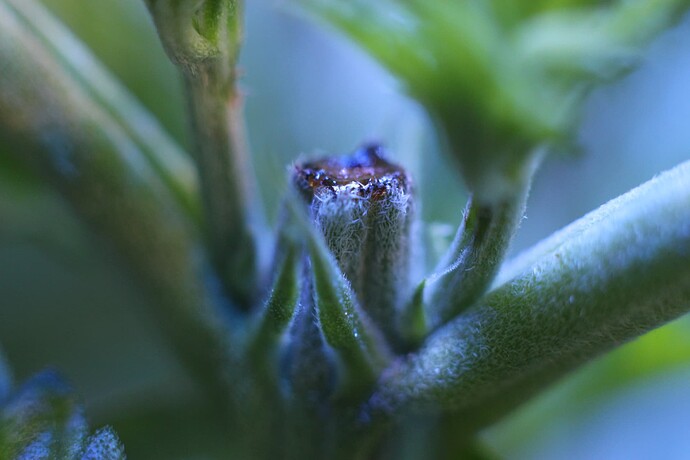 Growreport Bild 4