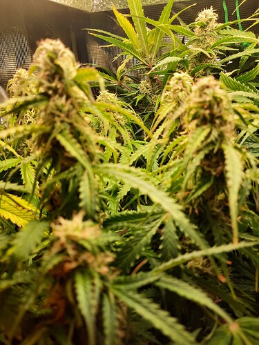 Growreport Bild 12