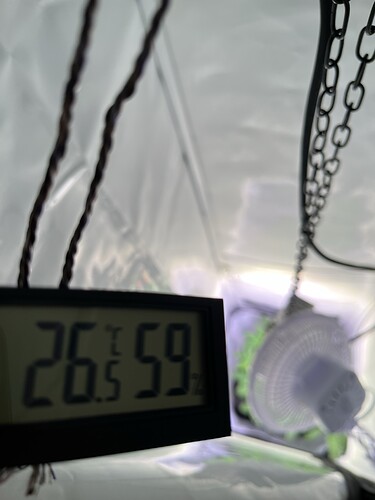 Growreport Bild 1