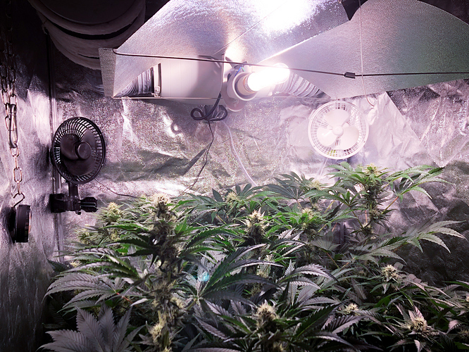 Growreport Bild 6