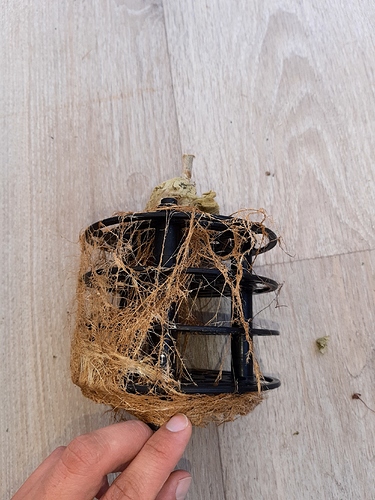 Growreport Bild 5