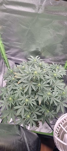 Growreport Bild 13