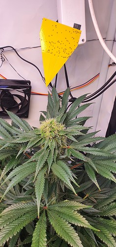 Growreport Bild 15