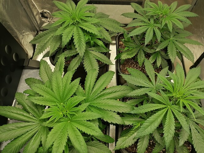 Growreport Bild 12