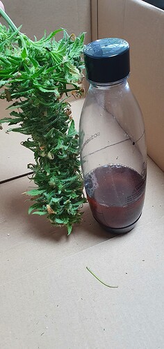 Growreport Bild 26