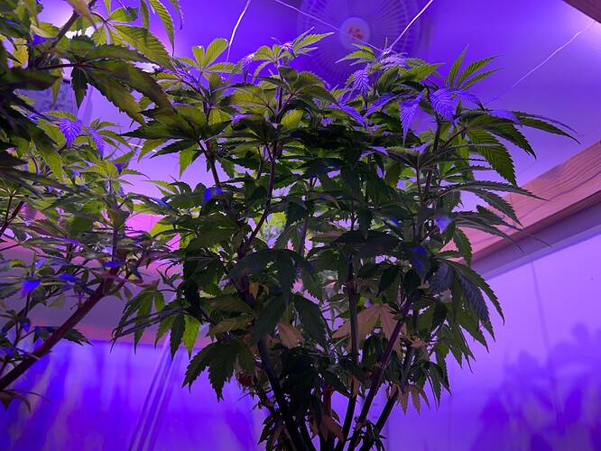 Growreport Bild 9