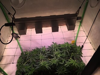 Growreport Bild 12