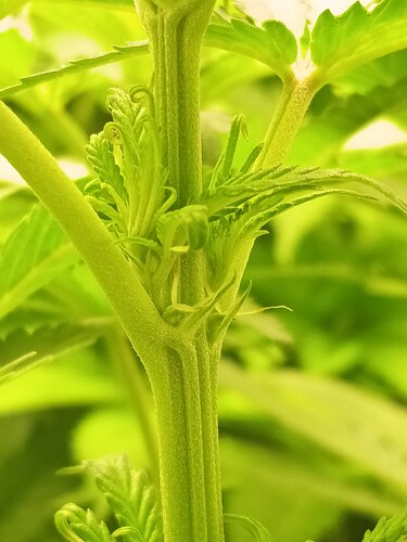 Growreport Bild 20