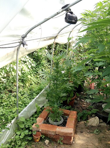 Growreport Bild 19