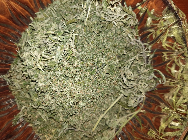 Growreport Bild 1