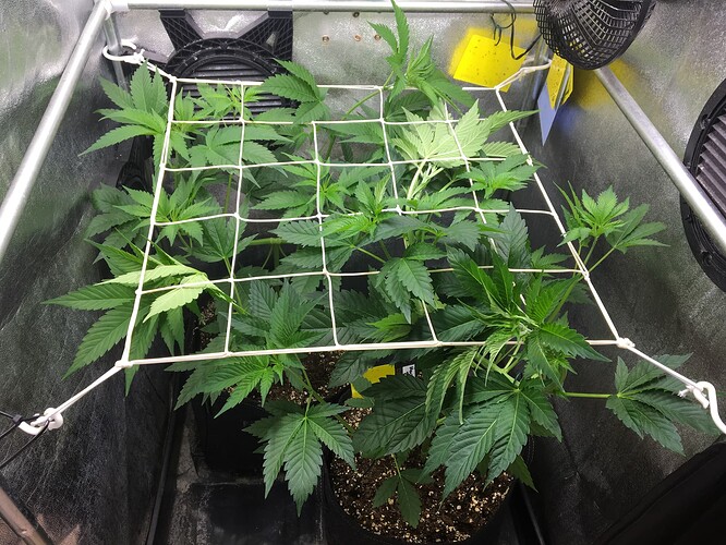 Growreport Bild 12