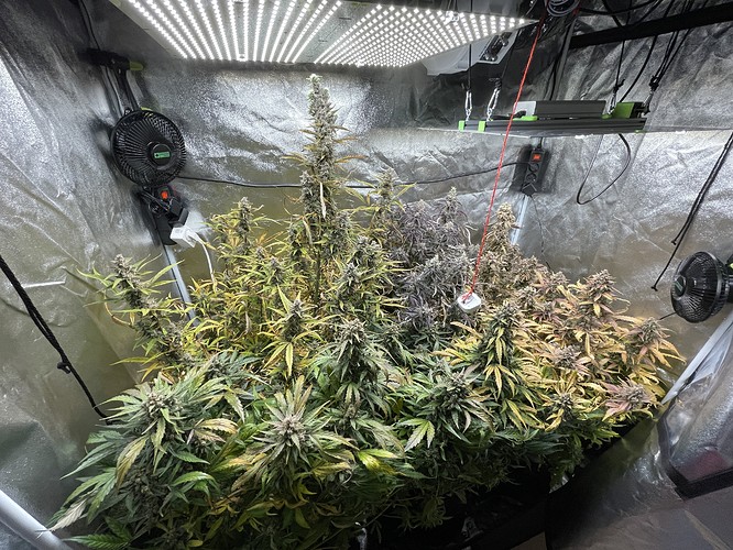 Growreport Bild 1