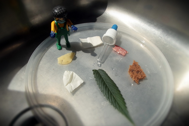 Growreport Bild 5