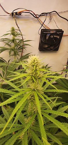 Growreport Bild 9