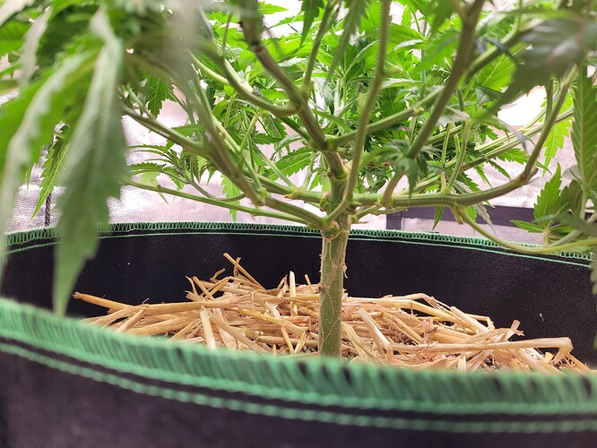 Growreport Bild 3