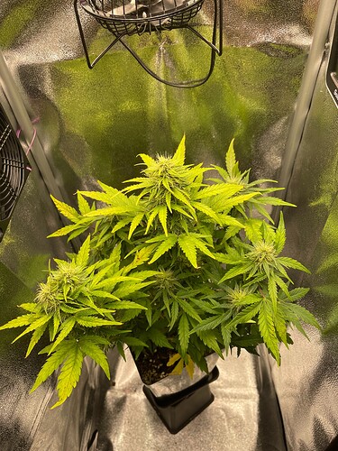 Growreport Bild 7