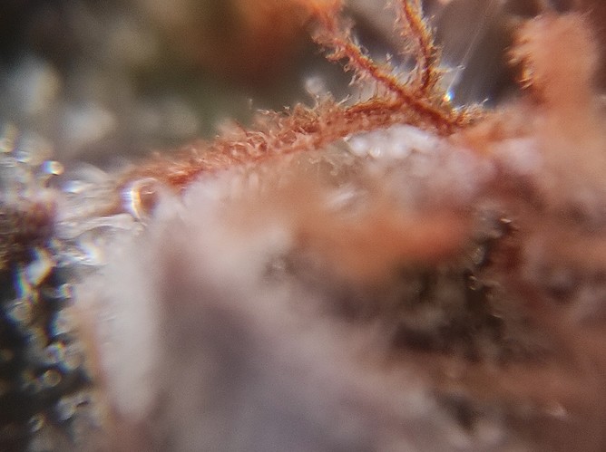 Growreport Bild 6