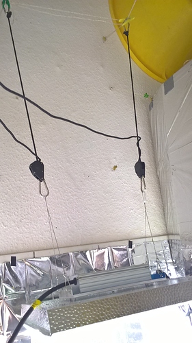 Growreport Bild 8