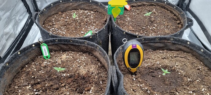 Growreport Bild 1