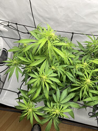 Growreport Bild 14