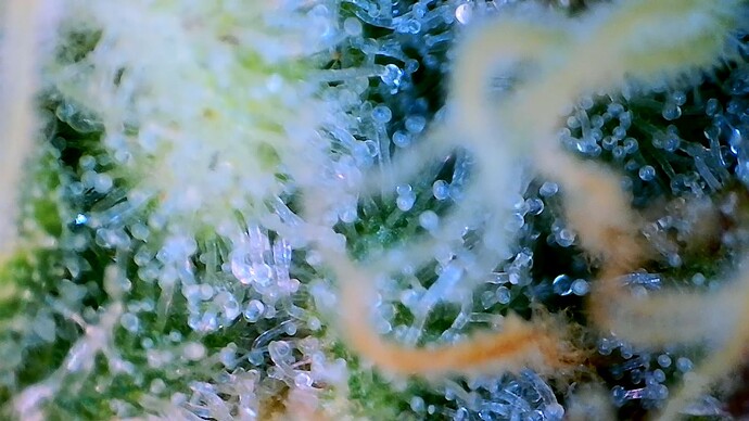 Growreport Bild 18