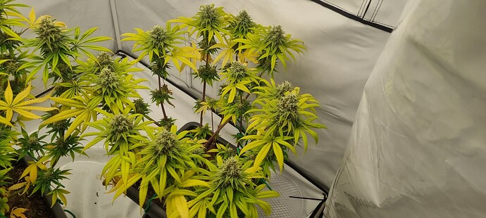 Growreport Bild 16