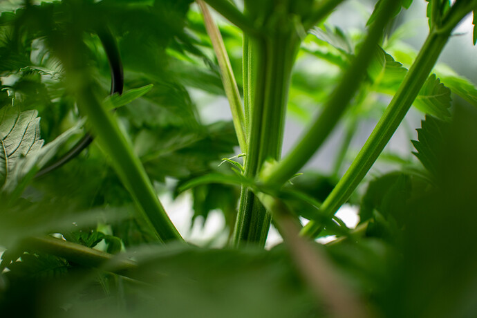 Growreport Bild 23