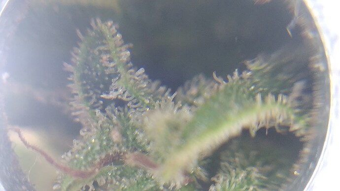 Growreport Bild 9