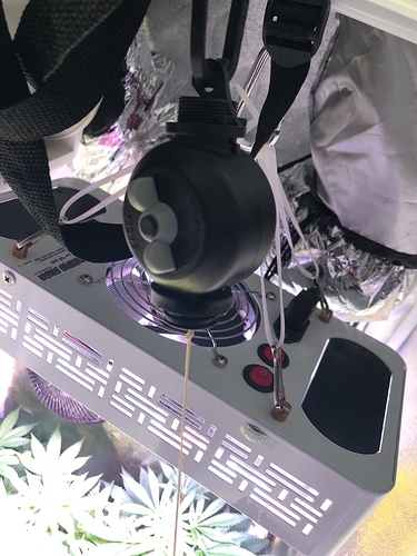Growreport Bild 30